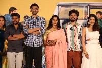 Narayana And Co Movie Teaser Launch